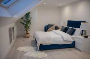 Stylish Skylight Room in a Luxury House